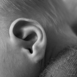 macro photo of a baby's ear
