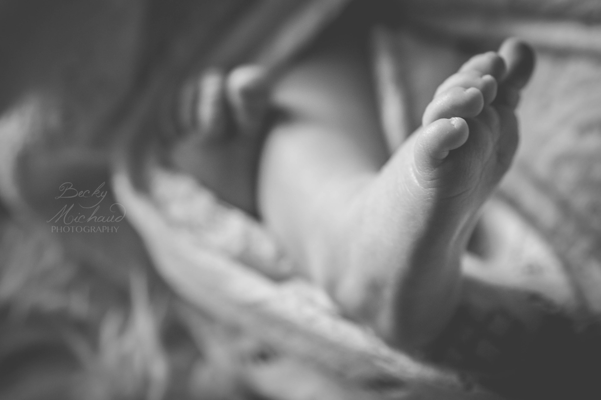 black and white macro photo of baby's feet taken by Becky Michaud, Fort Collins newborn photographer