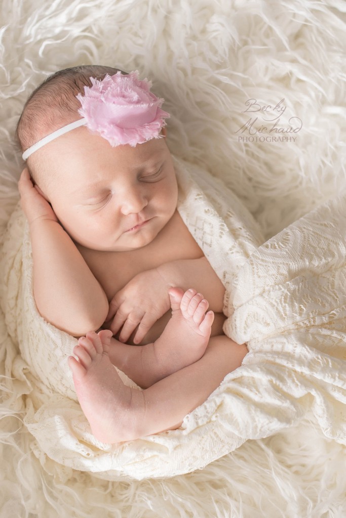 newborn baby girl portrait in Fort Collins, Colorado
