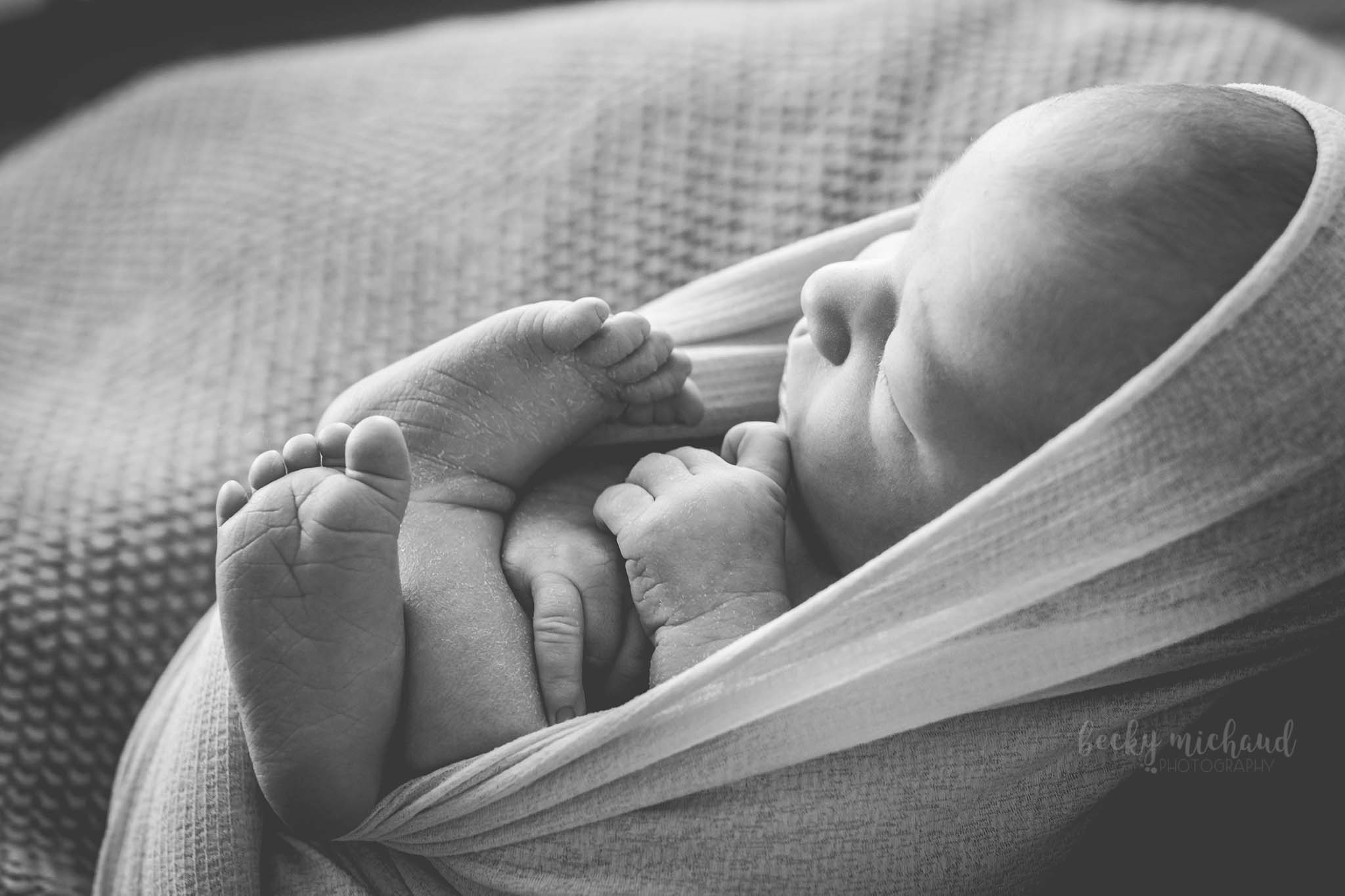 becky michaud photography - fort collins -  newborn photographer