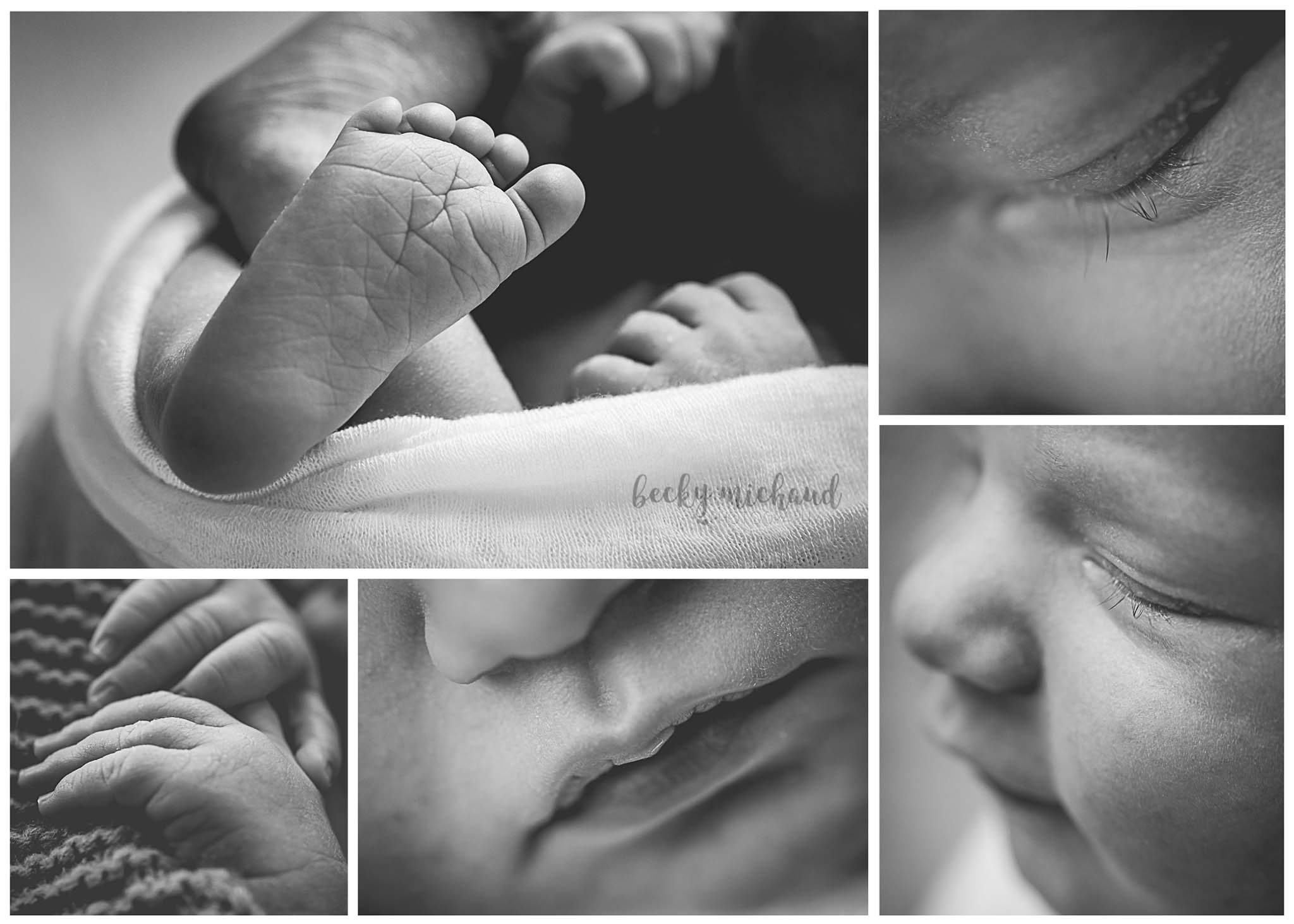 black and white collage of macro photos of newborn baby details by Becky Michaud, Fort Collins photographer