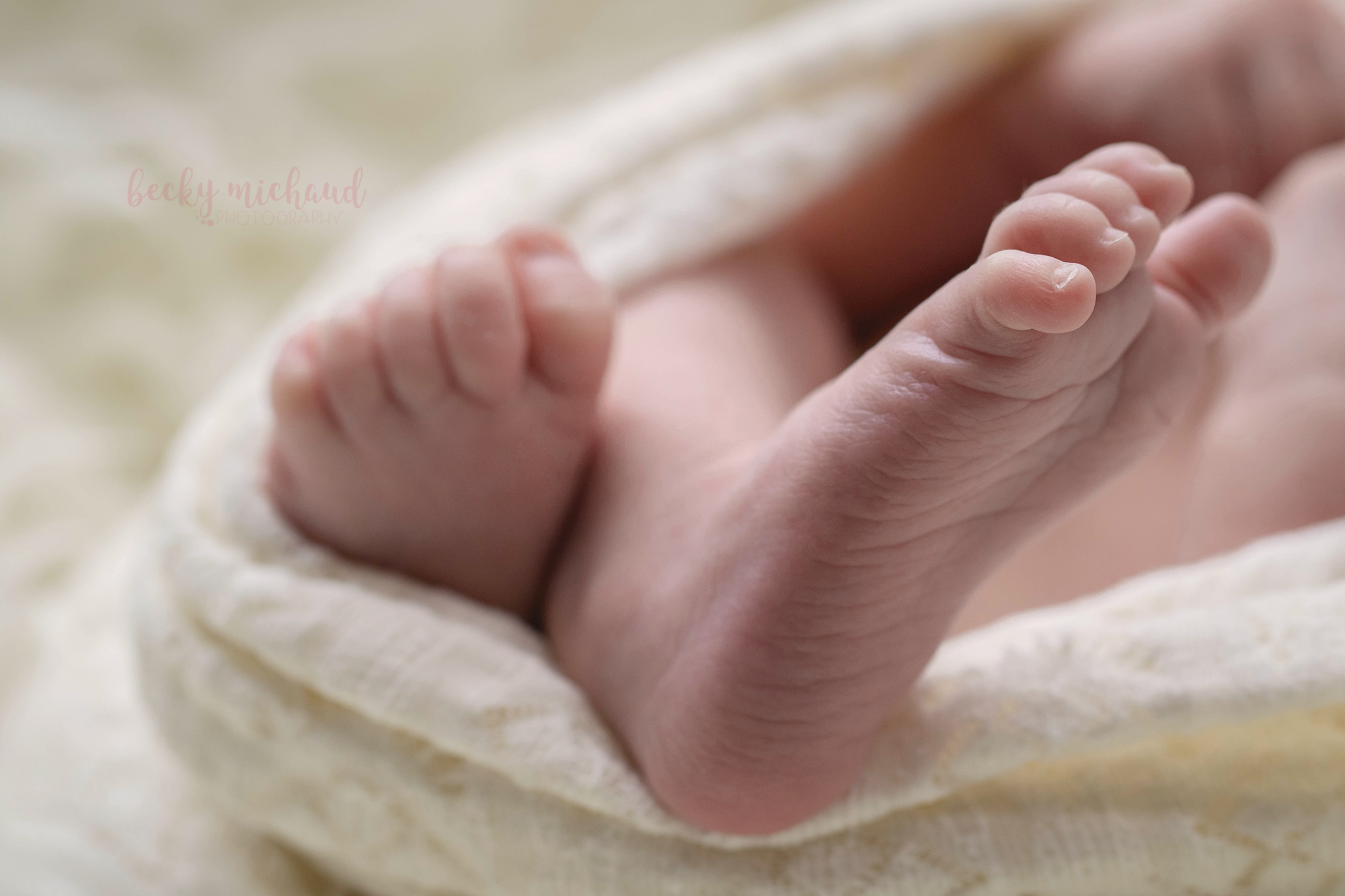 becky michaud photography - fort collins - newborn photographer