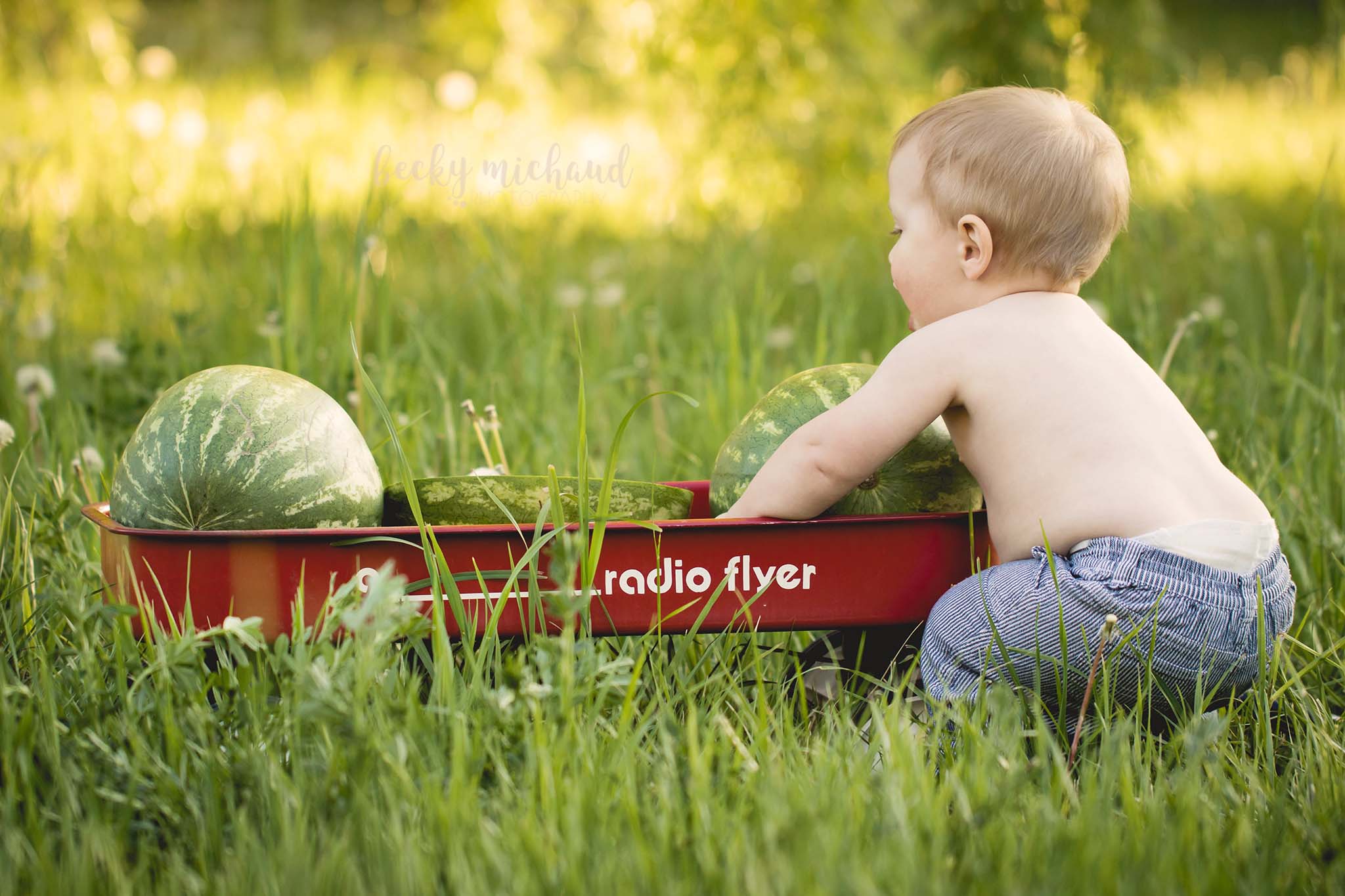 baby trying to lift a watermelon out of a wagon during a child photo session in Northern Colorado