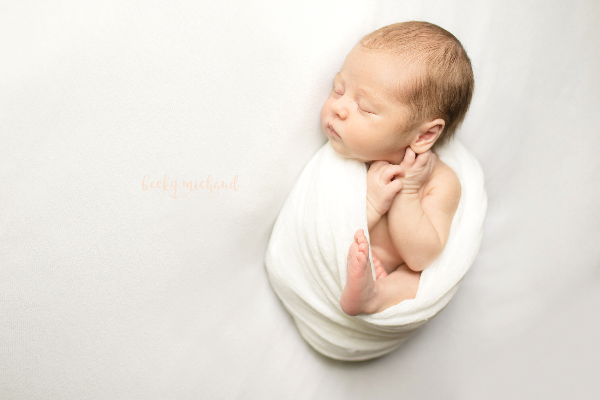 Simple newborn photo on a white backdrop taken by Becky Michaud, Fort Collins baby photographer