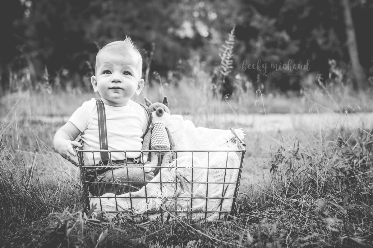 Becky Michaud Photography - Fort Collins - Baby Photographer