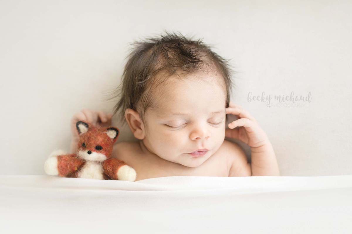 newborn boy doing the tucked in pose with a felted wool fox during his photo session in his Northern Colorado home