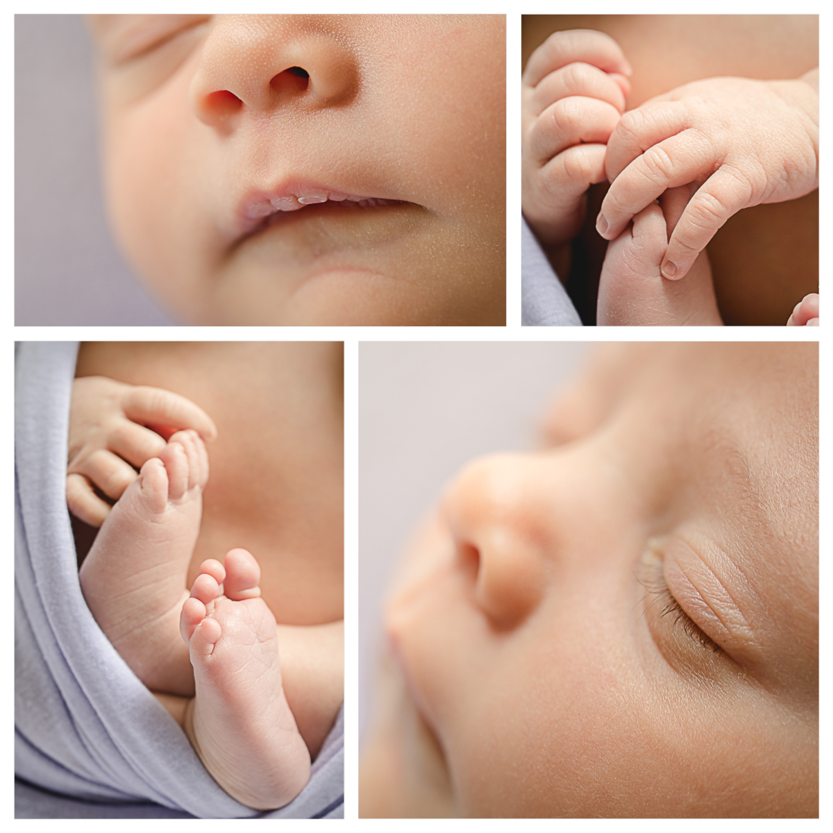 collage of macro images of newborn details taken by Becky Michaud, Fort Collins photographer