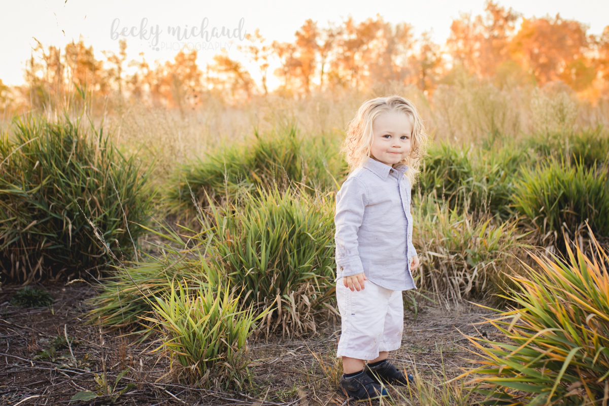 A little boy plays in a vibrant field in the fall at sunset during his Fort Collins photo session
