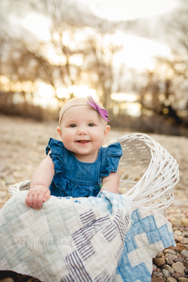 6 month old baby girl sits in a white wicker basket during her Fort Collins photo session