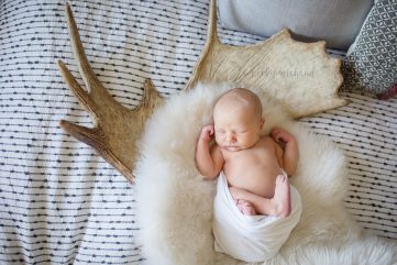 Lifestyle newborn photo taken in Fort Collins, Colorado of a baby and a moose antler