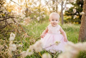 A baby girl peeks at the camera through the white flowers during her one year photo session