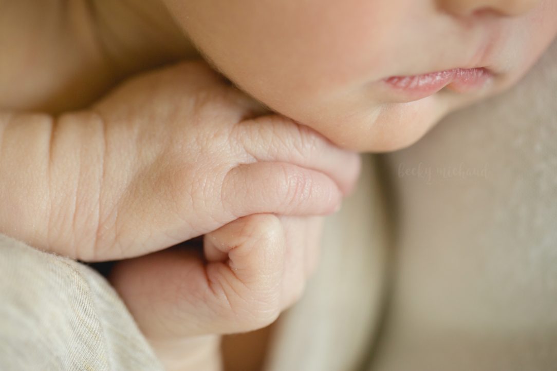 Macro photo of baby's hands clasped together