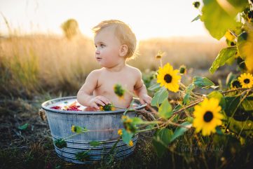 A one year old girl enjoys a milk bath in a field of sunflowers in Colorado