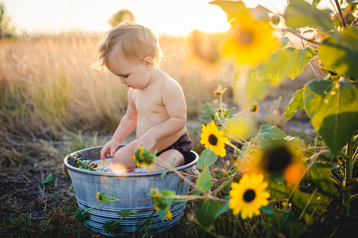 A baby girl plays in a tub as the sun sets over the sunflowers in Fort Collins