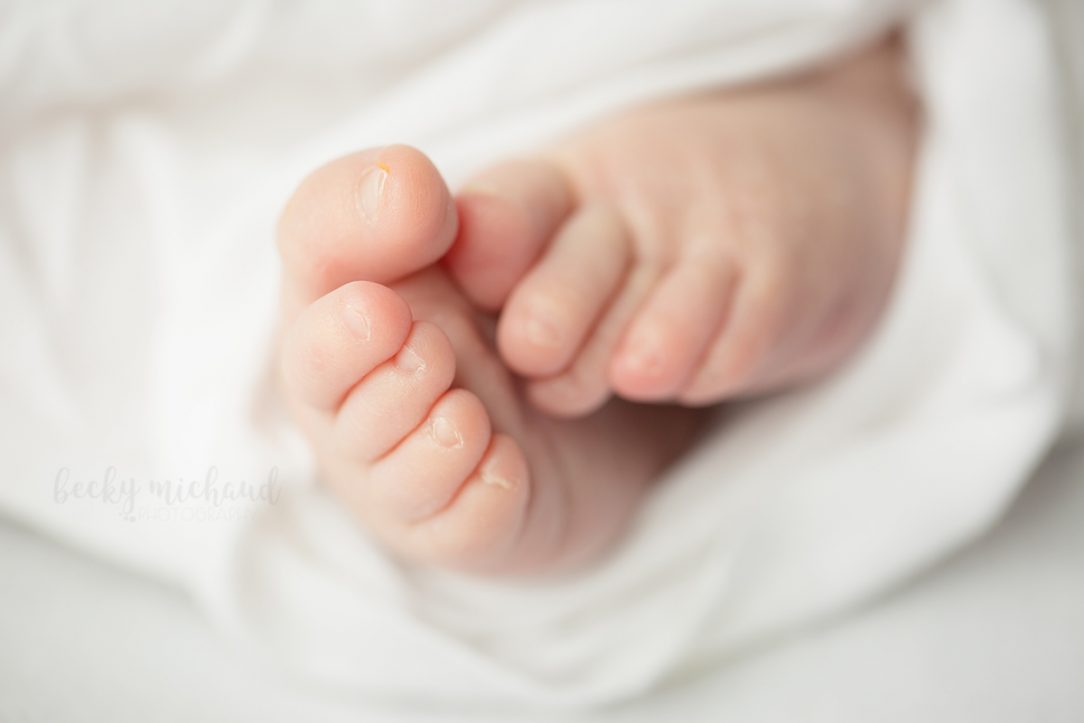 Macro photo of baby toes taken by Fort Collins baby photographer, Becky Michaud