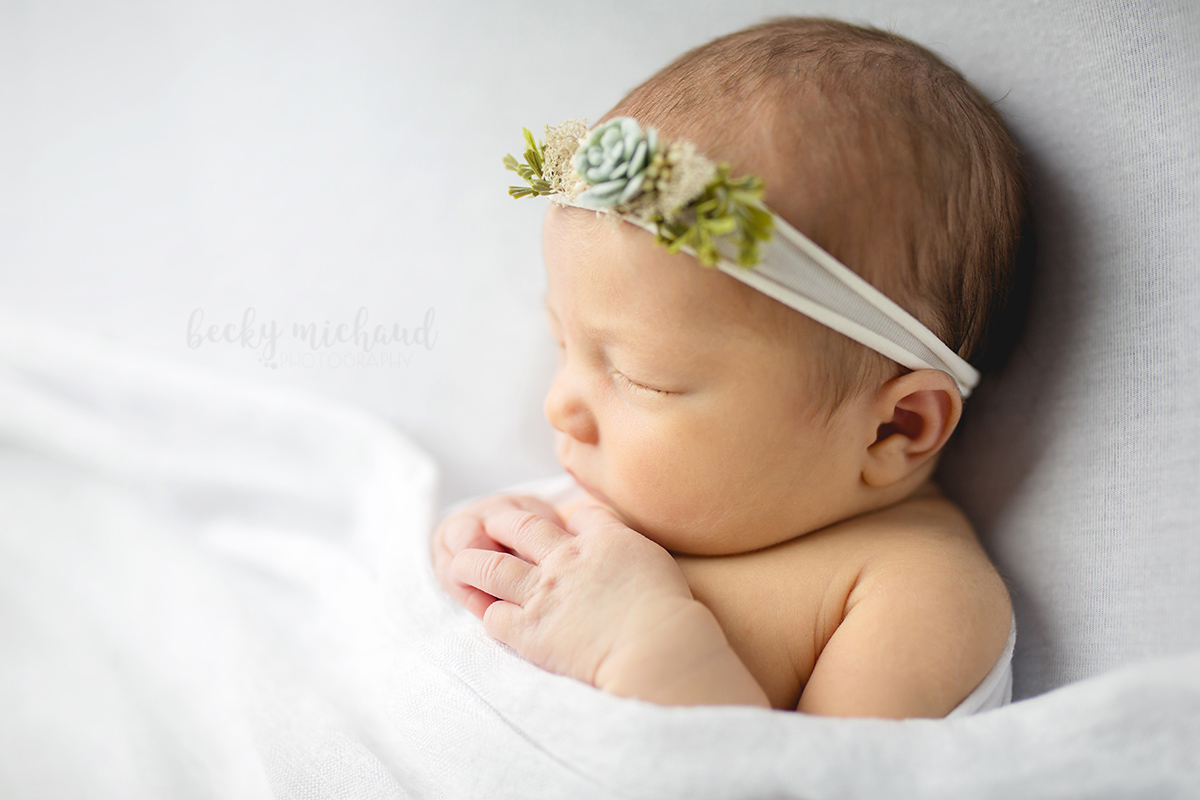Profile photo of a baby girl with a succulent headband tucked under a white blanket taken by Becky Michaud, Fort Collins newborn photographer