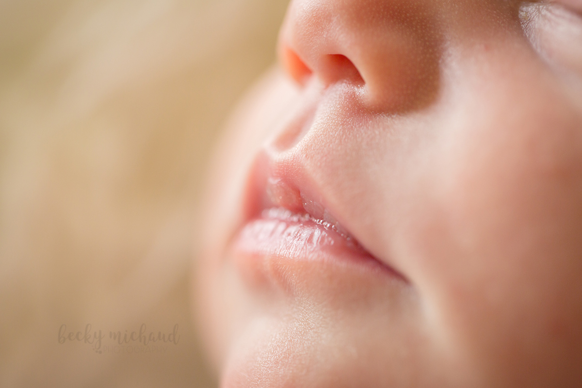 Macro photo of newborn baby lips taken by Becky Michaud, Fort Collins photographer