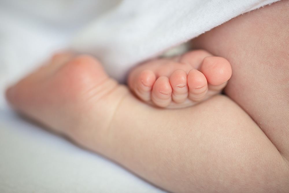 macro image of a newborn's tiny toes taken by Fort Collins photographer, Becky Michaud