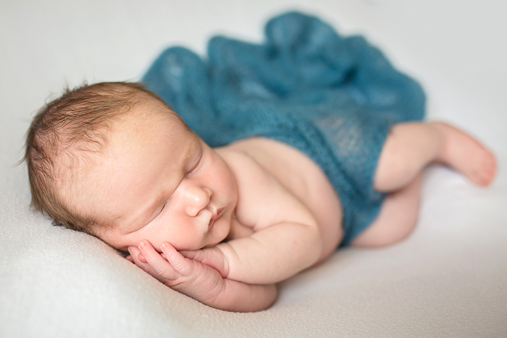 Newborn baby boy posed on a white backdrop with a blue blanket taken during his Fort Collins in home newborn photography session