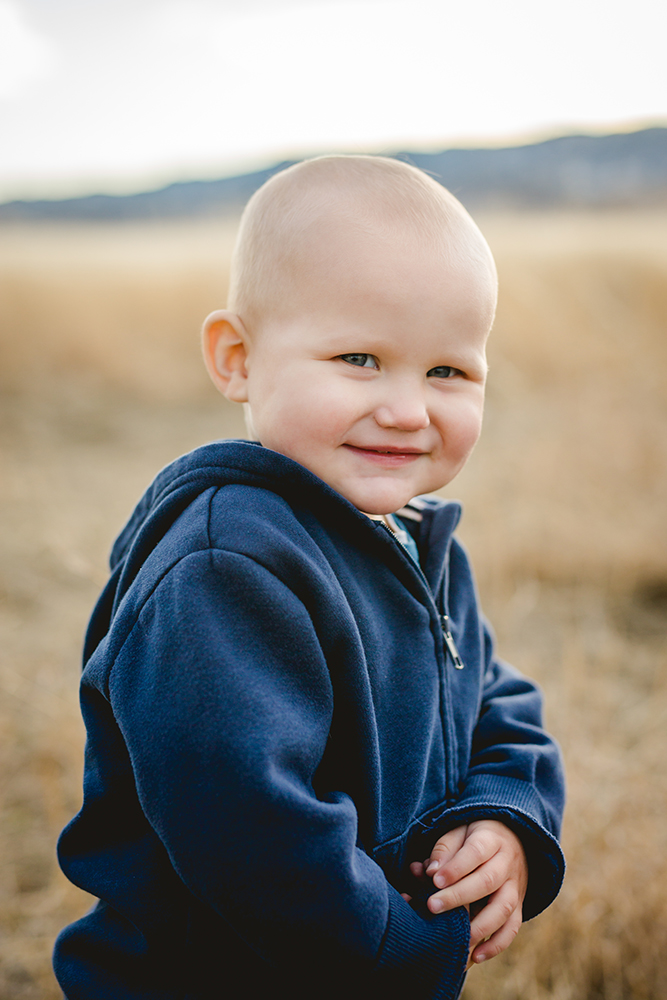 portrait of a little boy in a field taken by Becky Michaud, family photographer for Fort Collins and northern Colorado