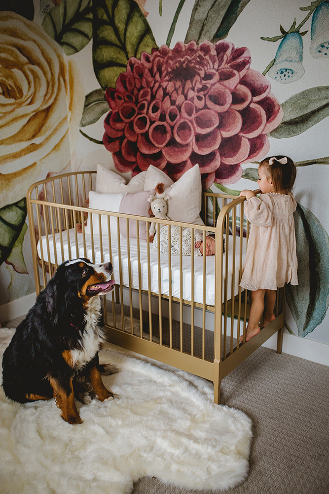 A girl and her dog stand guard over the new baby in the house as she sleeps in her crib