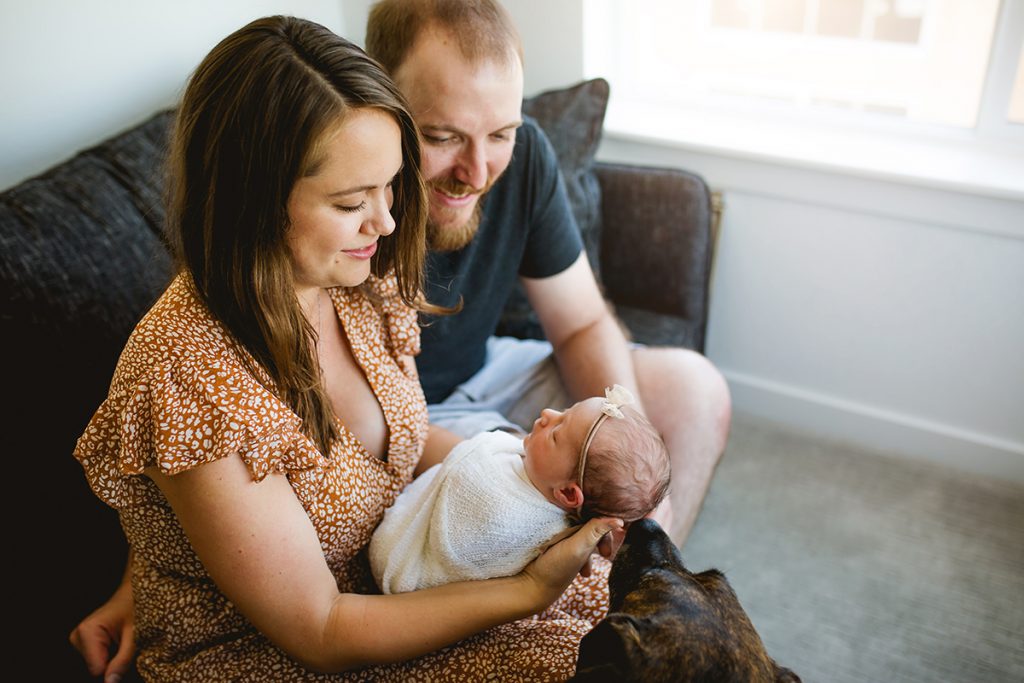 Lifestyle newborn photo of mom and dad sitting on a couch with their baby as the dog visits