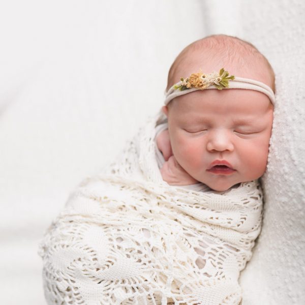 Photo of a newborn baby girl on a white backdrop in Fort Collins Colorado